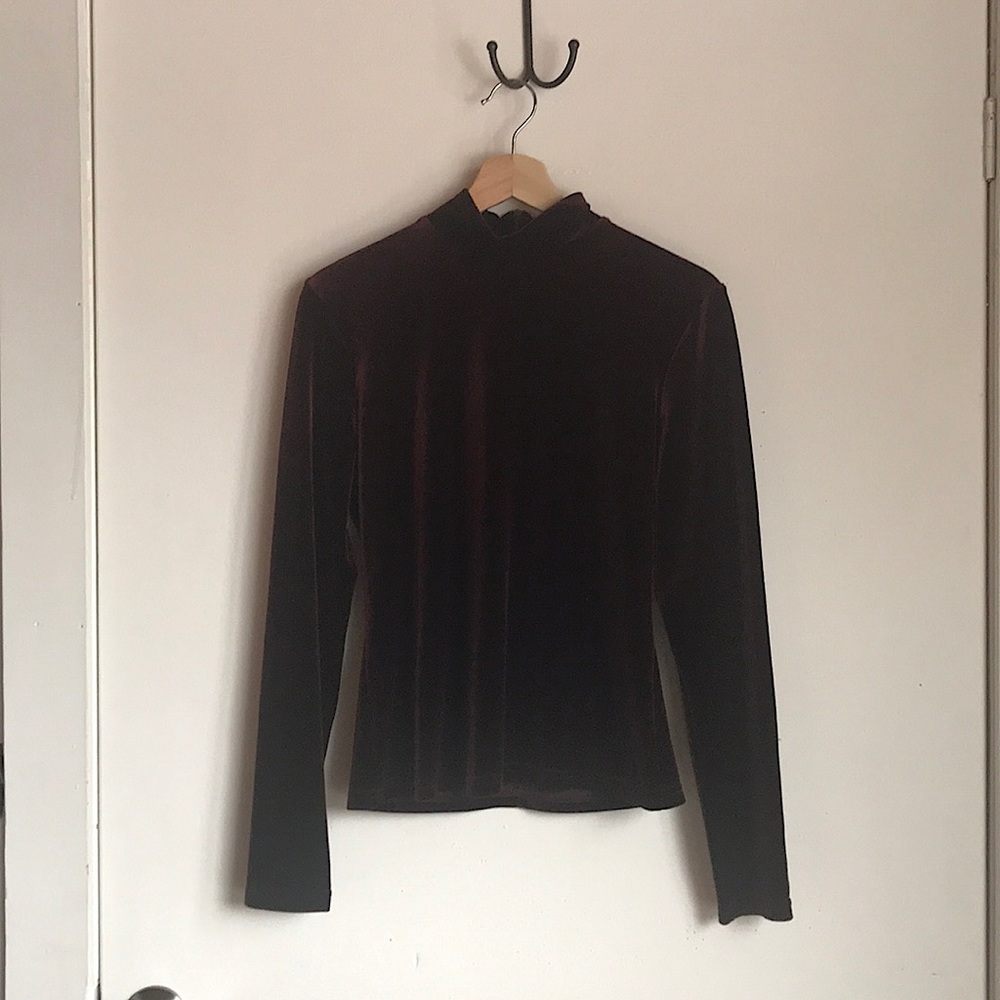 Velvet Turtleneck